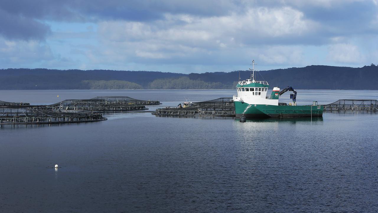 Tassal salmon pens, in Macquarie Harbour, Strahan, West Coast of Tasmania. Picture: MATHEW FARRELL