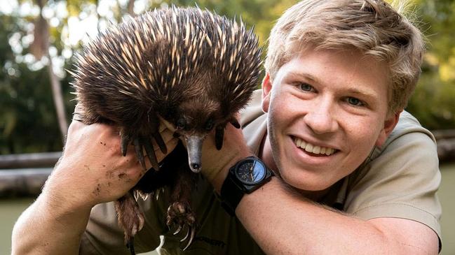 How the public is used to seeing Robert Irwin. Picture: Supplied