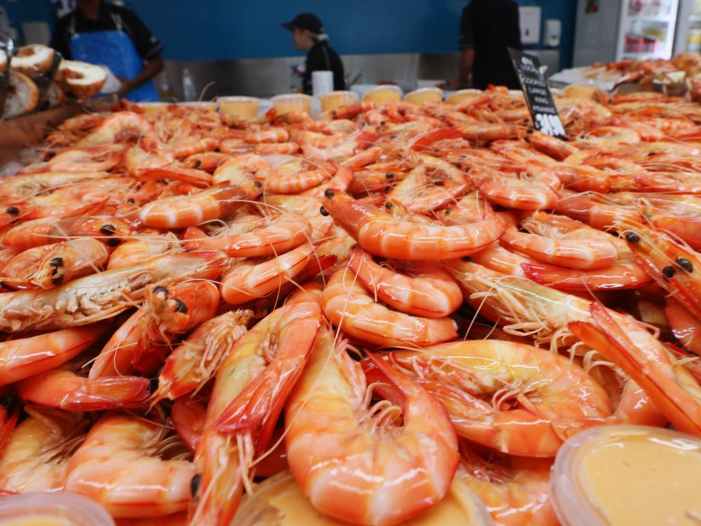 An ‘abundance of supply’ means that high-quality Australian prawns could see reduced prices this Christmas. Picture: Lachie Millard