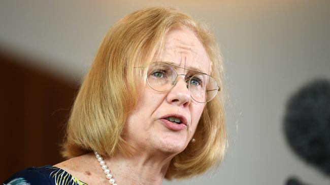 Queensland Chief Health Officer Dr Jeanette Young speaks during a press conference to provide a COVID-19 update. Picture: NCA NewsWire / Dan Peled