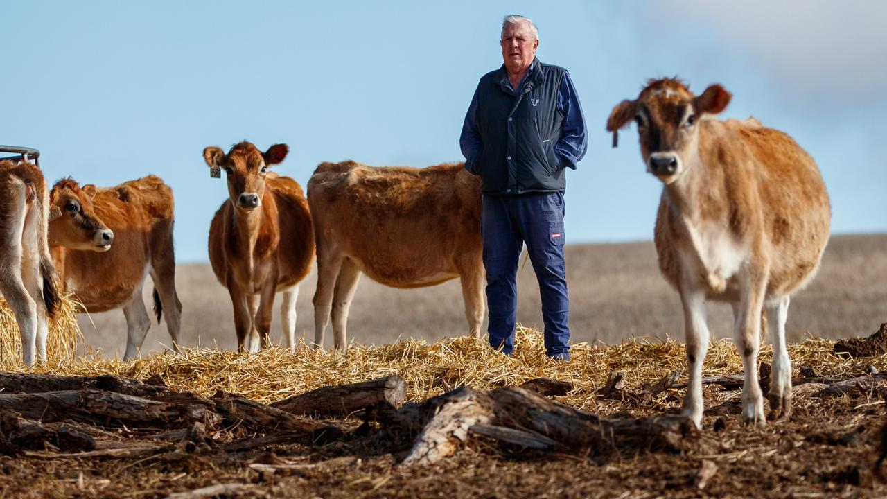 Forgotten drought ‘must be first priority for new PM’