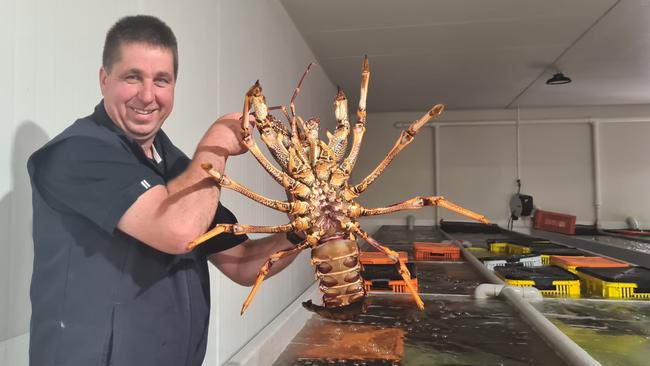 Third generation crayfisher Shannon Moran at The Lobster Pot Beachport. Picture: Jessica Ball