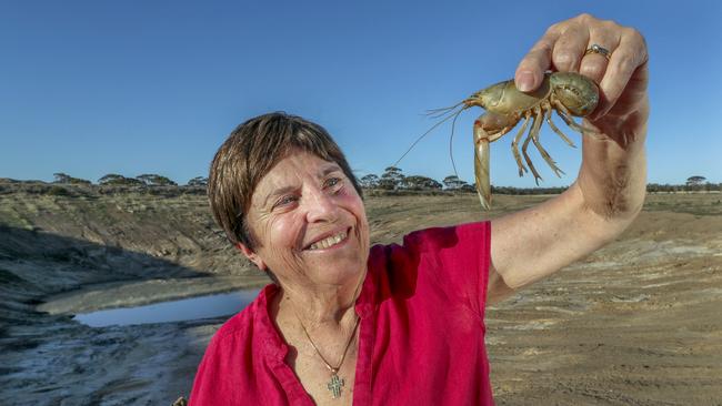 West Australian yabby farmer Mary Nenke. Picture: Nic Ellis