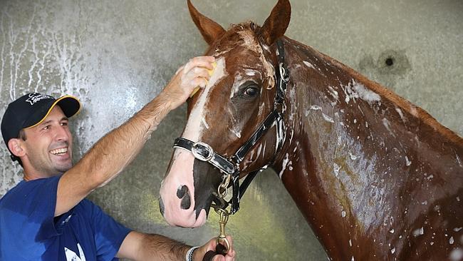 QLD_GCB_NEWS_MMSALES_1JAN14_BEDO(2)