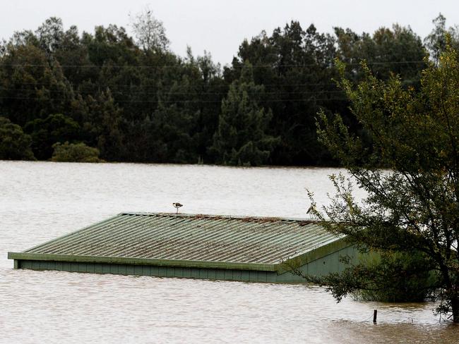 Roof of a flooded house is seen near the overflowing Hawkesbury River in the northwestern Sydney suburb of Windsor. Picture: Muhummad Farooq