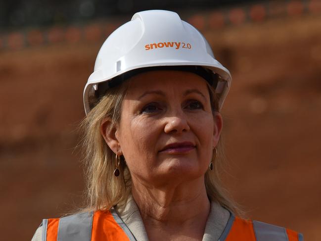 Minister for the Environment Sussan Ley at a press conference at the start of the drilling for Snowy 2.0 at Lobs Hole, near Mount Selwyn in the Snowy Mountains. Tuesday, June 30, 2020. (AAP Image/Mick Tsikas) NO ARCHIVING