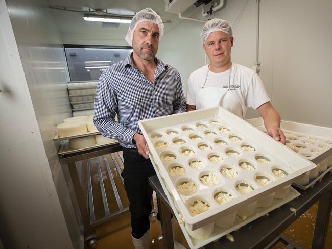 Coal River Farm co founder Daniel Leesong and head cheese maker Tim Gadischke making feta cheese. Picture: Chris Kidd