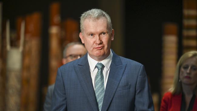 Workplace Relations Minister Tony Burke. Picture: NCA NewsWire / Martin Ollman