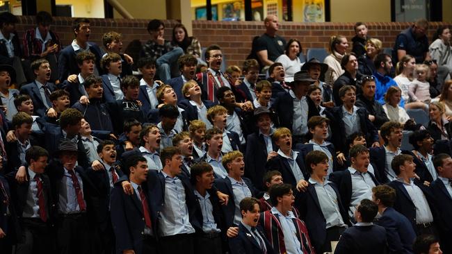 The Southport School swarm. Pic: Heidi Brinsmead