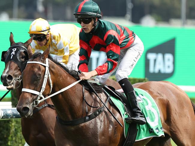 SYDNEY, AUSTRALIA - FEBRUARY 15: Zac Lloyd riding Lady Shenandoah win Race 7 TAB Light Fingers Stakes during Sydney Racing at Royal Randwick Racecourse on February 15, 2025 in Sydney, Australia. (Photo by Jeremy Ng/Getty Images)