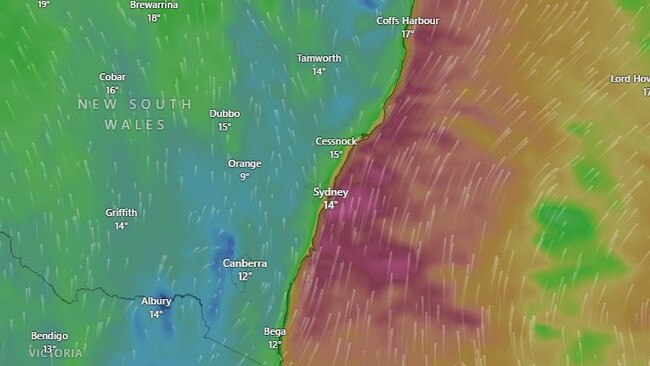 Wild winds off the NSW coast have triggered warnings for millions of residents, with a woman losing her life after a tree fell on her on Sunday. Picture: Windy