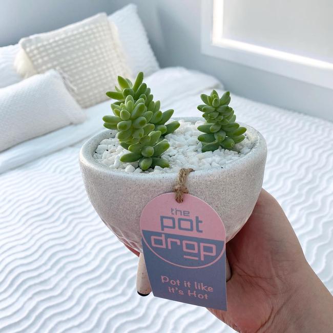 Potted plants make perfect gifts, according to the team at The Pot Drop.