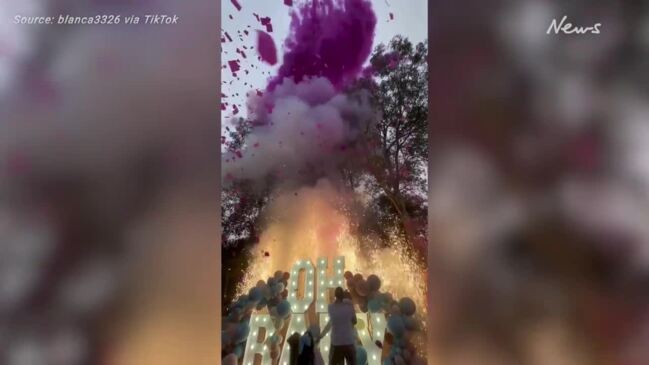 Outrage over explosive gender reveal