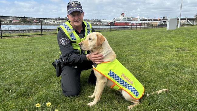 Police sniffer dog Omara with her handler Ross Alexander. Picture: Simon McGuire.