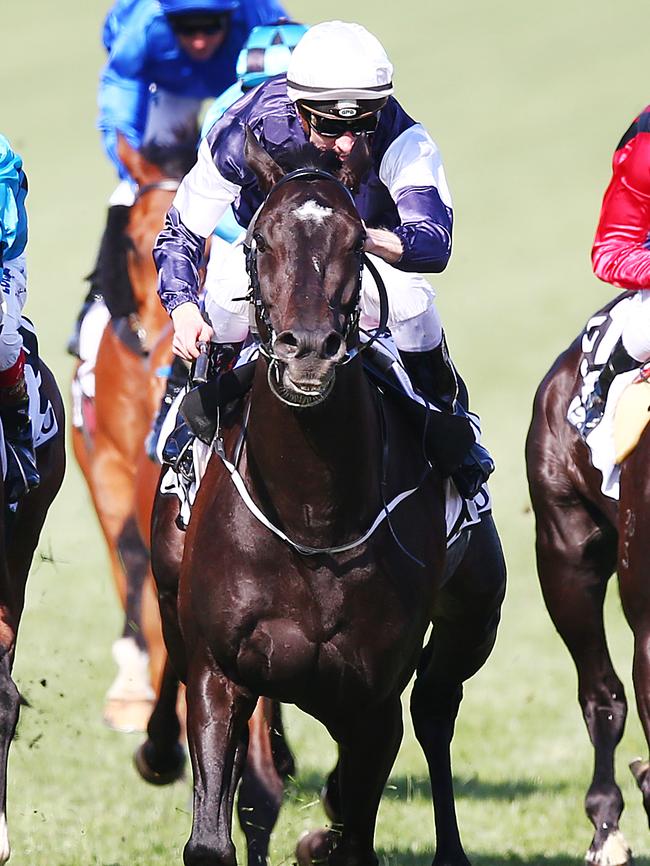 Latrobe in full flight. Pic: Getty Images