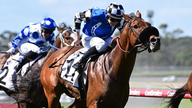 Six candidates were running to secure three available board seats at the Melbourne Racing Club’s annual meeting at Caulfield racecourse. Picture: Vince Caligiuri/Getty Images