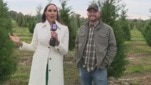 Choose and cut your Christmas tree at Froberg's Farm