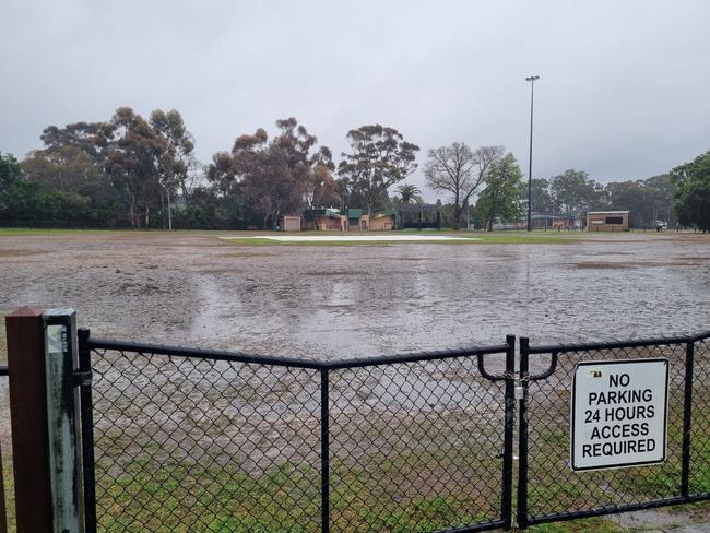 The north oval at Kew on Saturday morning.