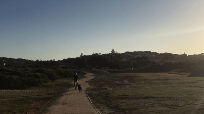 Flora &amp; Richie Roberts Reserve, Curl Curl. Picture: Northern Beaches Council