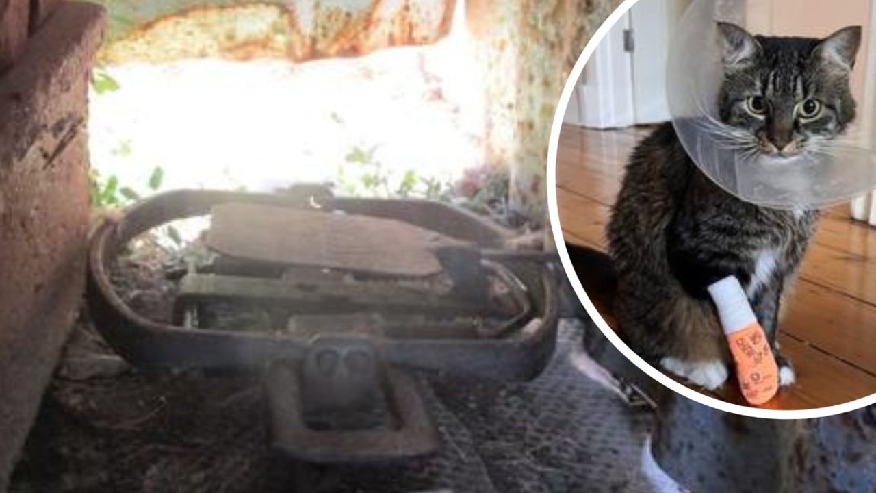 Beloved pet’s two hours of agony in neighbour’s yard