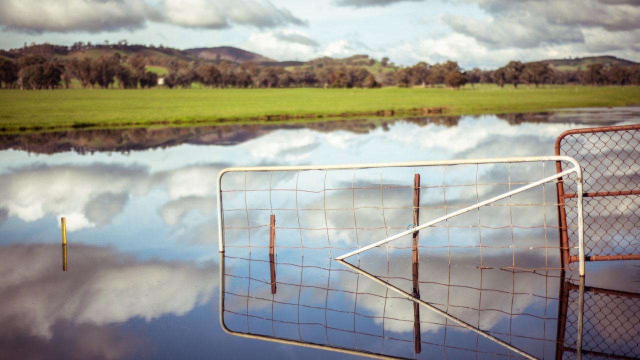 The aftermath of Floods in the Forbes area will have 'big price impact'