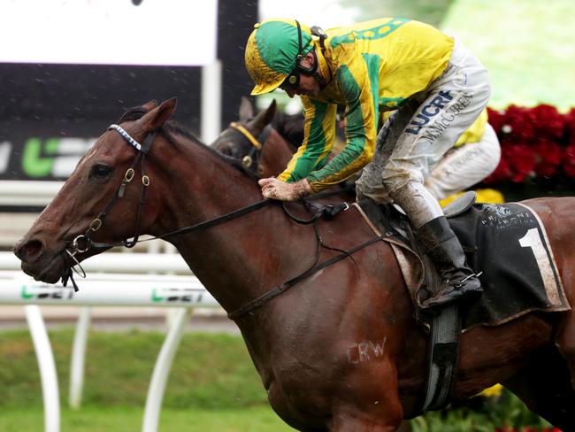 Race 6. Winner Horse #1 Mr Epic ridden by Matthew McGuren. Queensland Cup Races at Eagle Farm. Pics Tim Marsden