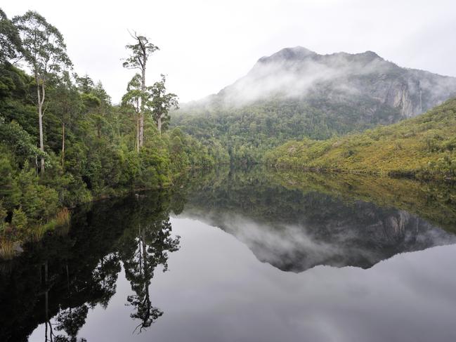 Tasmanian old forest and river in Tasmania, Strahan.