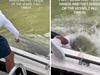 Bull shark pulls man into the water