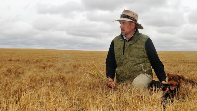 Mildura Rural City councillor and farmer Ian Arney on his farm at Werrimull in the Millewa district of northwest Victoria.