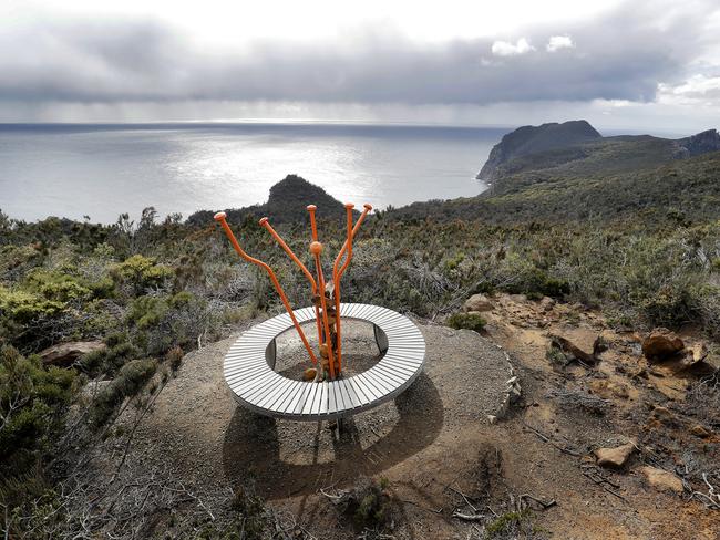 Day 3. Encounter “Sex on the Cape”. Three Capes Track walk. PICTURE: Richard Jupe