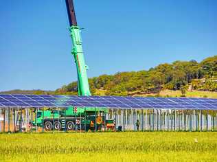 The first solar panels have been positioned at the Sunshine Coast Solar Farm, Valdora. Picture: Contributed