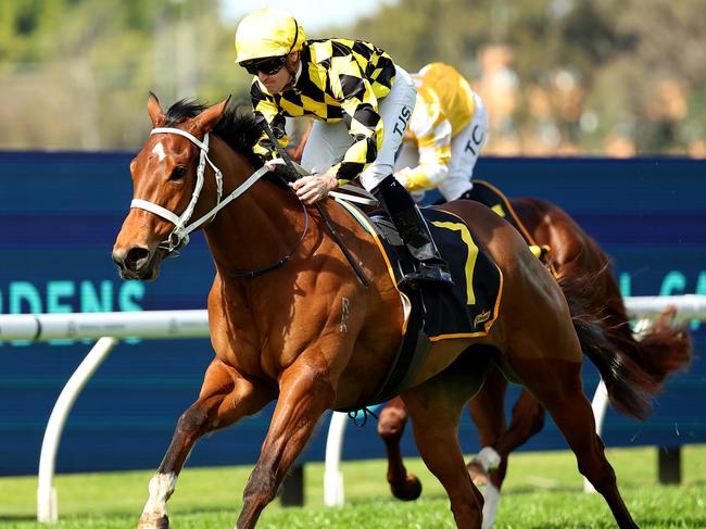 SYDNEY, AUSTRALIA - AUGUST 17: Tyler Schiller riding Autumn Glow wins Race 1 Schweppes during "Rosebud Day" - Sydney Racing at Rosehill Gardens on August 17, 2024 in Sydney, Australia. (Photo by Jeremy Ng/Getty Images)