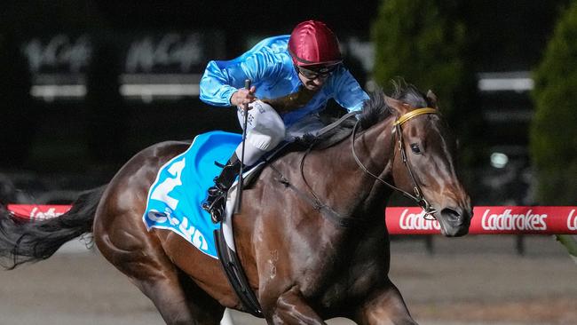 Apache Song's three straight wins at The Valley have earned the mare a crack at Group 2 level in the Australian Stakes.  Picture: Racing Photos via Getty Images.