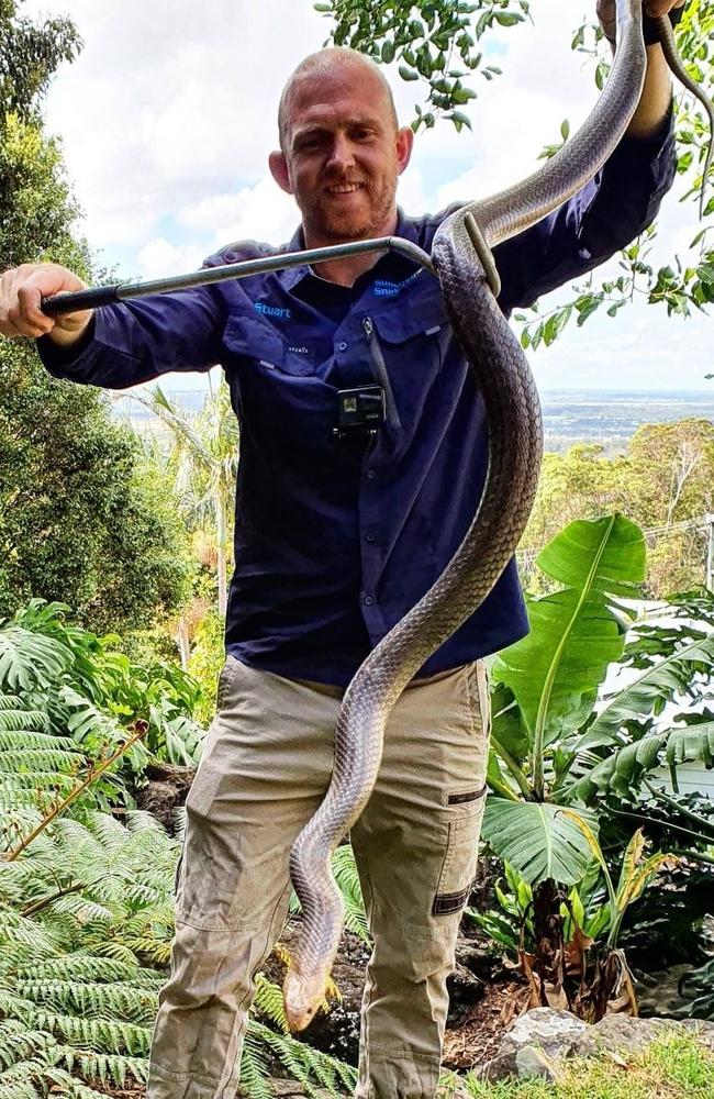 LV SNAKE CATCHER in Forest Hill 4342 QLD