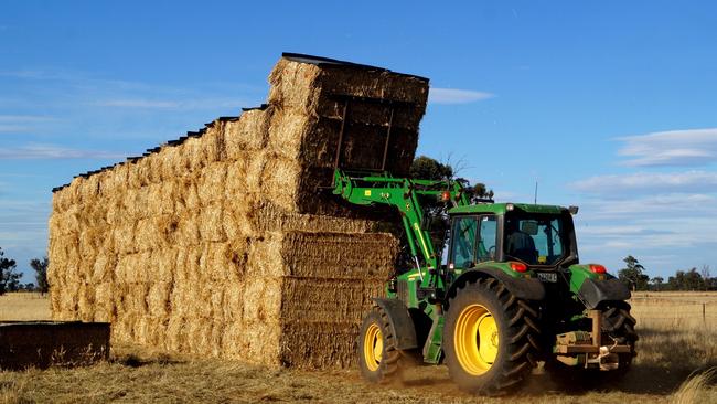 The outlook for hay prices remains weak.