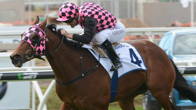 Jockey Damian Browne drives Hopfgarten to victory on Saturday.