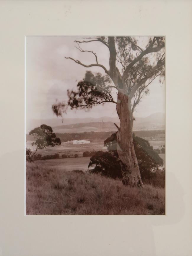 Canberra photo: This is a 1927 photograph of Parliament House purchased from a photographic shop in Manuka circa 1980. Extraordinary. The building is standing in the middle of the paddock.