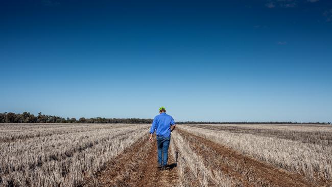 Nigel Corish grows cotton, wheat, barley, chickpeas and sorghum on the Western Darling Downs. Picture: David Martinelli