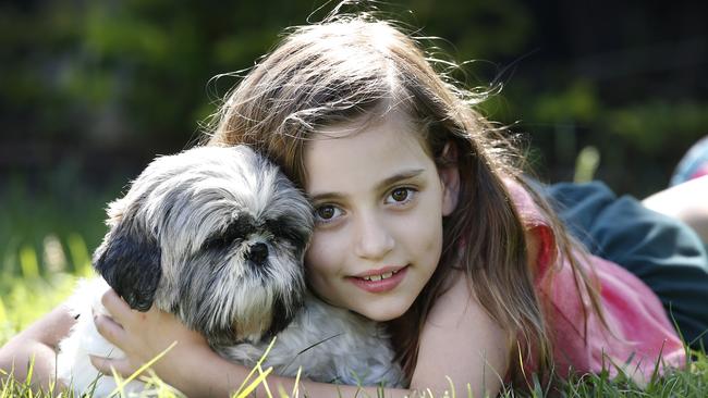 Ava loves her puppy farm rescue dog Gwynneth the Shih Tzu. Picture: David Caird