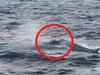 cruise ship sank off santorini