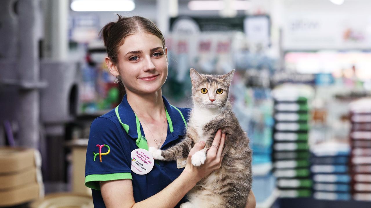 PetStock Cairns hosting an animal adoption drive for animal shelter charities this Saturday, to coincide with National Pet Adoption Month. PetStock Cairns sales assistant Tanayah Sargent gives some loving attention to Jaylia, the two year old domestic short hair cat, who is available for adoption from Adopt Me Kittens. Picture: Brendan Radke