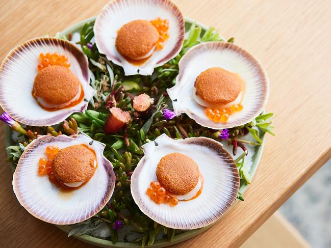 Scallops tickled with bonito butter and fermented chilli oil.