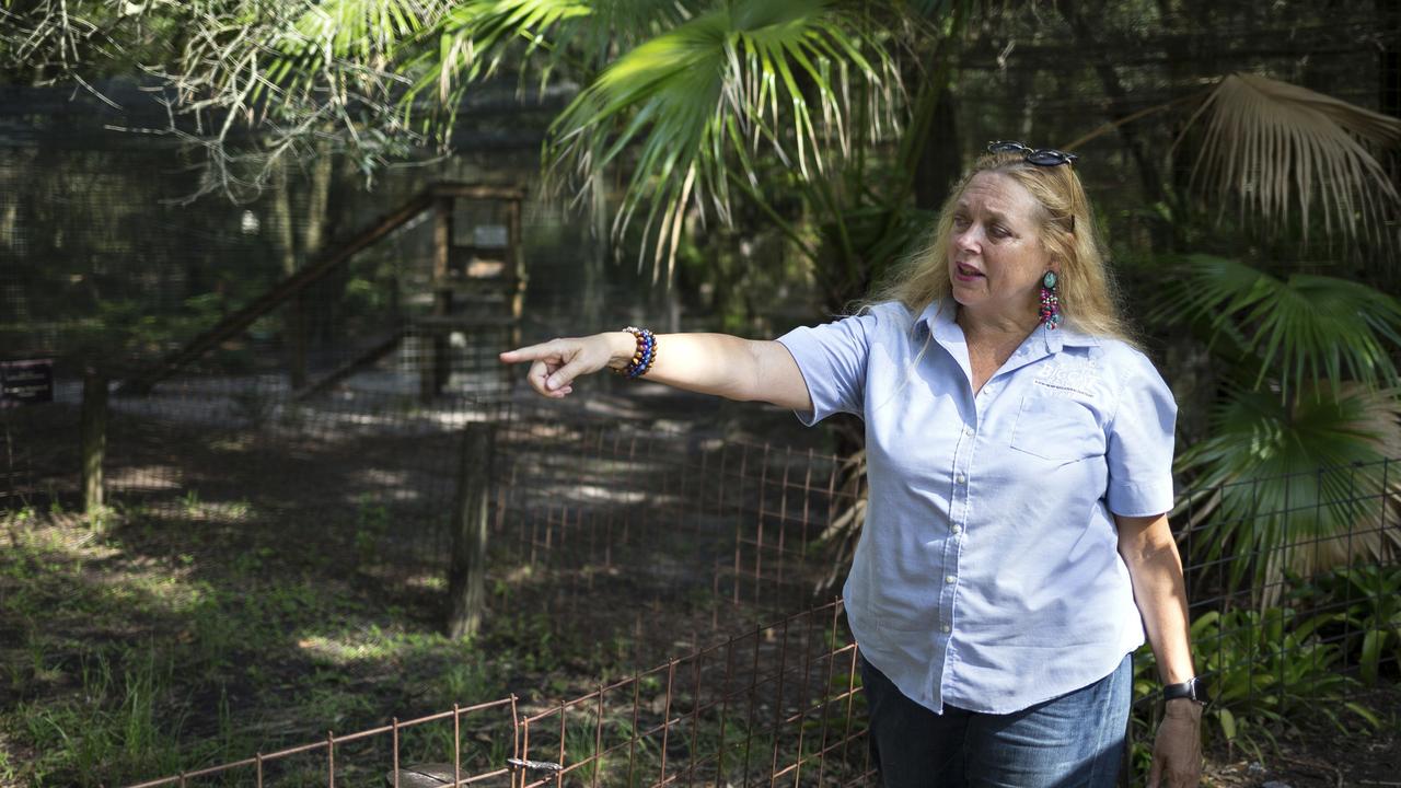 Carole Baskin, founder of Big Cat Rescue. Picture: Loren Elliott/Tampa Bay Times via AP