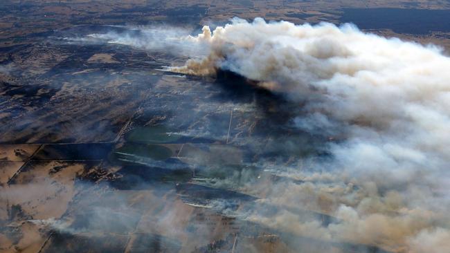 The Sherwood fire in SA’s South-East, in January. Picture: Dr Paul Dare