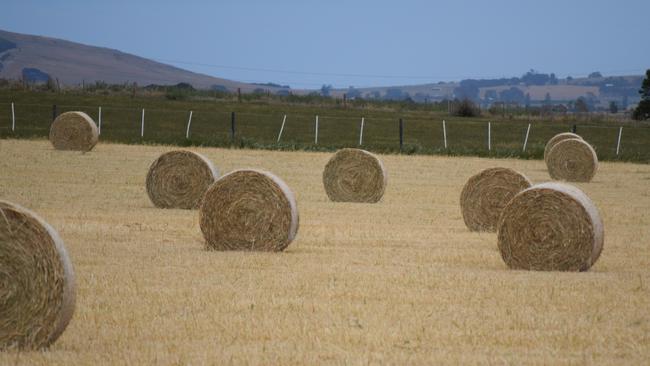 Traders are cautious despite record hay export volumes.