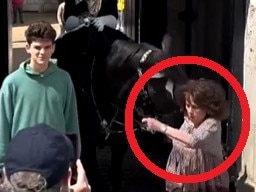 Tourists are told countless times not to stand too close to a King’s Guard horse - there’s also signs saying to ‘beware’ - yet this woman must have missed the memo.