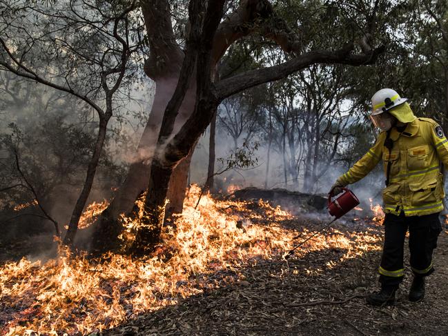 AA full-time mitigation squad will be announced as part of the NSW budget measures. Picture: Dylan Robinson