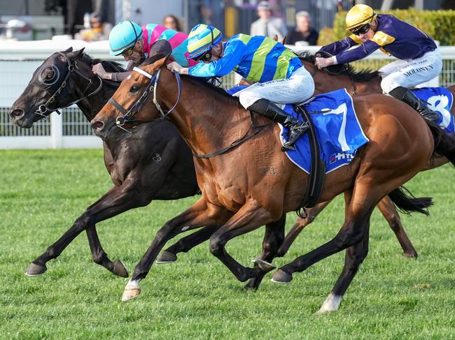 Attrition ridden by Beau Mertens wins the Hyland Race Colours Toorak Handicap at Caulfield Racecourse on October 14, 2023 in Caulfield, Australia. (Photo by Scott Barbour/Racing Photos via Getty Images)