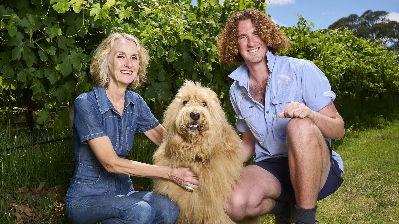 Helen O'Brien, Dave, 7, the Groodle, and Charlie O’Brien at Kangarilla Road Wines. Picture: Matt Loxton