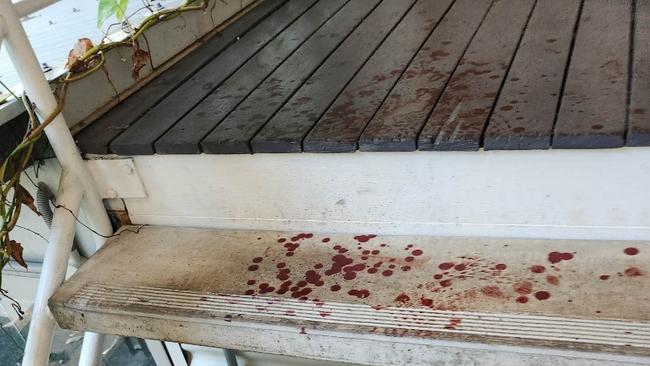 Blood on the stairs after a break-in at Char.